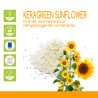 Cire de Tournesol Keragreen T (20KG)